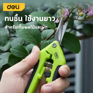 Deli กรรไกรตัดแต่งกิ่ง กรรไกรตัดแต่งกิ่ง 6.5 นิ้ว ด้ามยางกันลื่น ปลอดภัยด้วย Safety Lock Pruning Shears