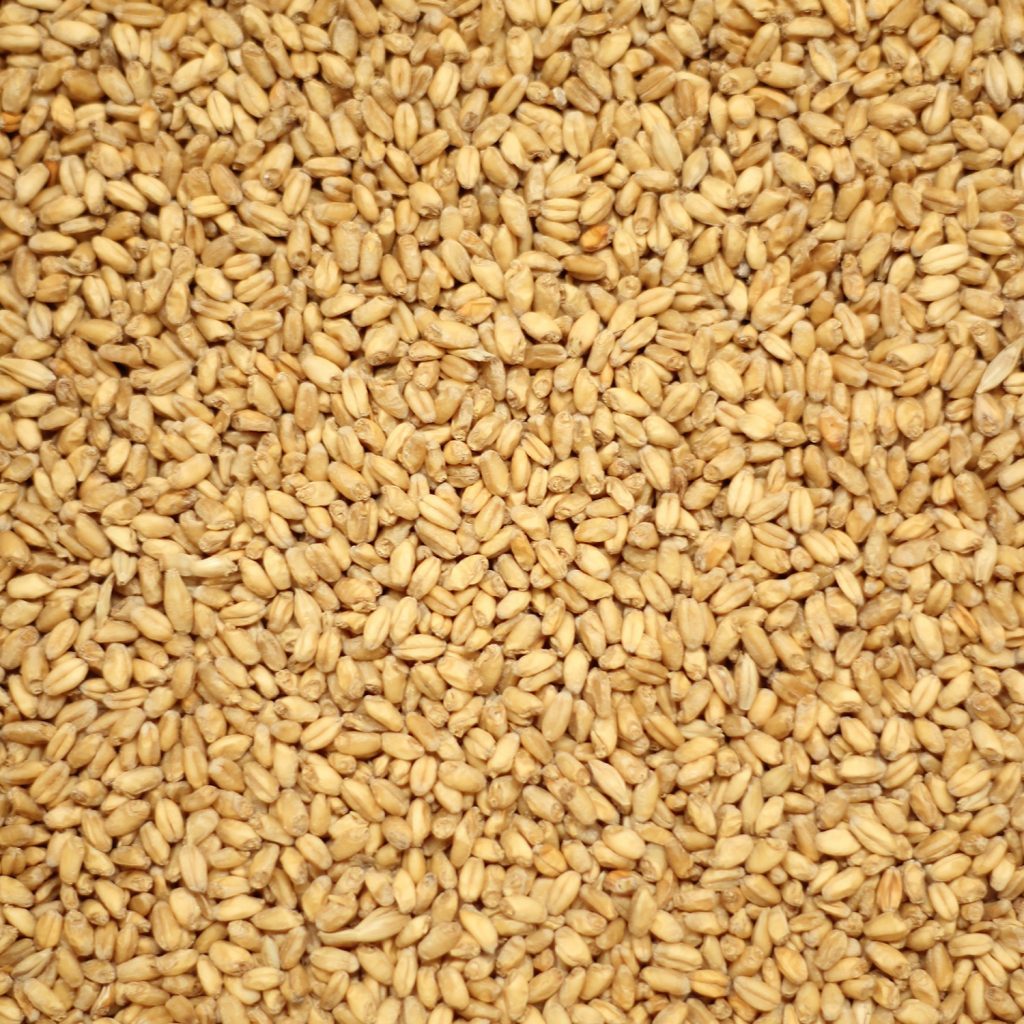 มอลต์ Chateau Wheat Blanc - Chateau Malt ทำเบียร์ (1 Kg.)