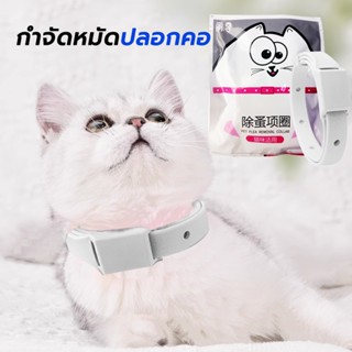 ปลอกคอกันเห็บหมัด 🐱แมว ปลอกคอกำจัดเห็บ ปลอกคอกำจัด เพื่อป้อง…