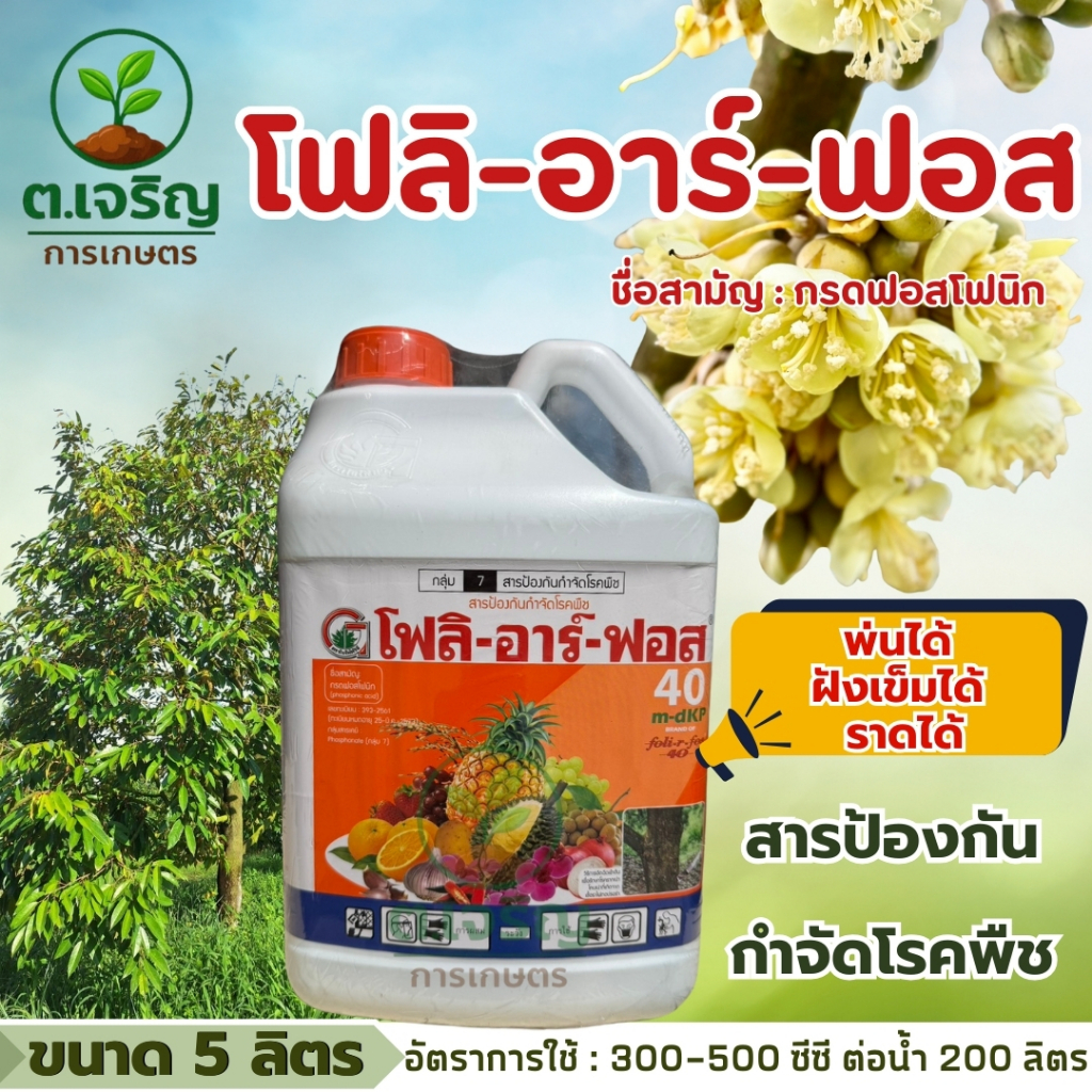 โฟลิ-อาร์-ฟอส40 (ขนาด 5 ลิตร)สารป้องกันกำจัดโรคพืช กรดฟอสโฟนิก สารกำจัดเชื้อรา สาเหตุของโรครากเน่าโคนเน่า ต้นป่วย ต้นตาย ราคา ถูกที่สุด ดีลบีเคเค รูปภาพหลัก