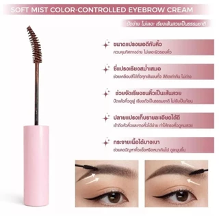 (มาสคาร่าคิ้ว) Pala Soft Mist Color-Controlled Eyebrow Cream พาลา ซอฟท์ มิสท์ คัลเลอร์-คอนโทรล อายบราว ครีม (5 g.)