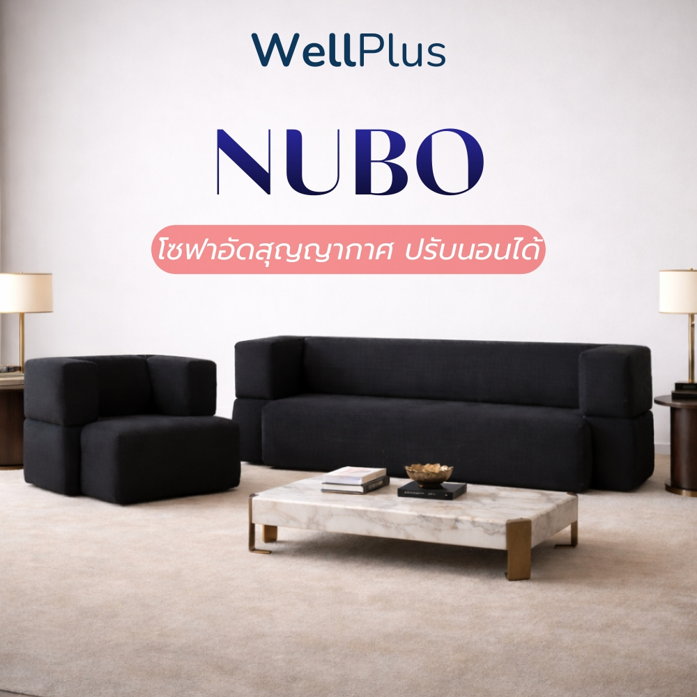 WellPlus โซฟาอเนกประสงค์ [อัดสูญญากาศ] รุ่น NUBO ปรับนั่ง-นอนได้ ประหยัดพื้นที่ ดีไซน์มินิมอล พร้อมหมอนอิงฟรี 2 ใบ