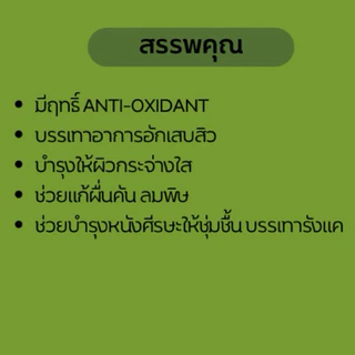 ต้นย่านางหรือใบย่านาง เพาะเมล็ด(สั่งขั้นต่ำ3ต้น) ถ้าซื้อ5ต้นแถม1ต้น ต้นสมบูรณ์แข็งแรง นิยมนำใบไปคั้นเอาน้ำเพื่อทำอาหาร