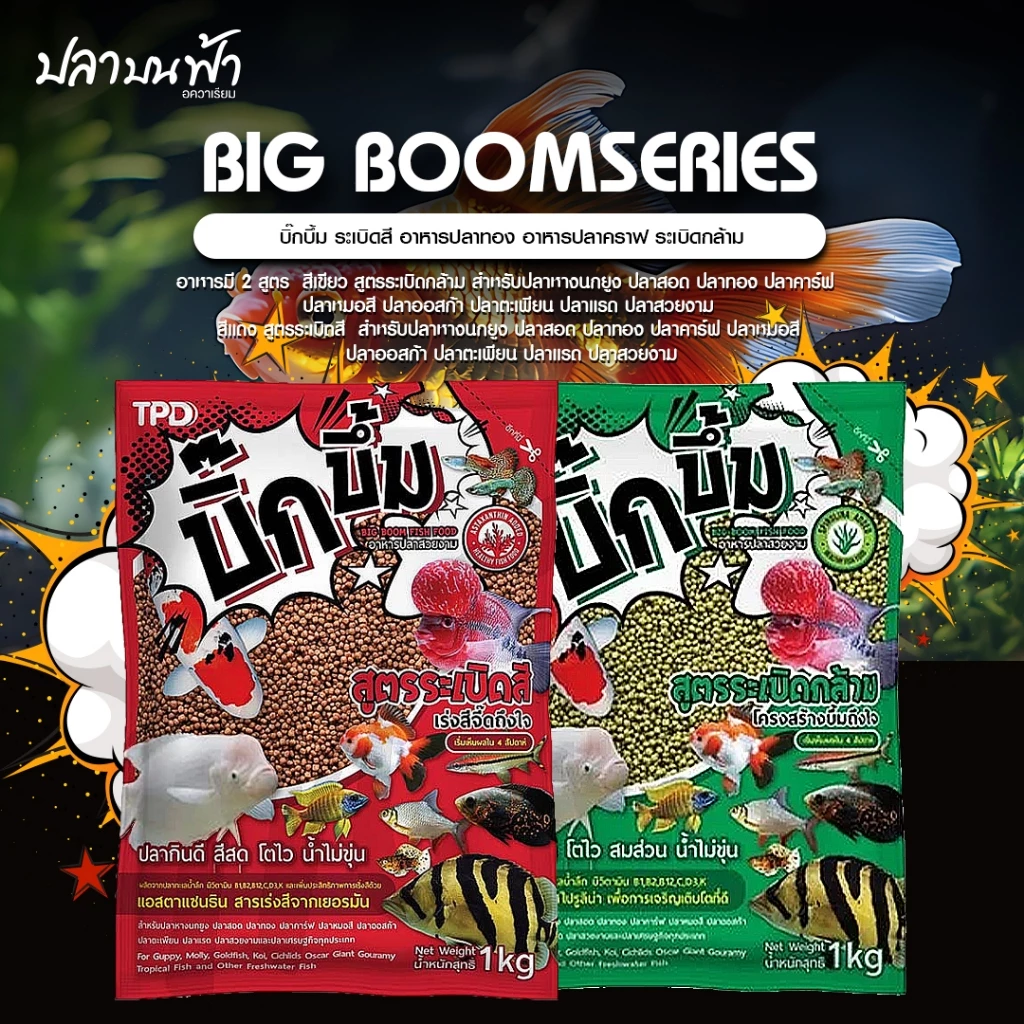 อาหารปลาบิ๊กบึ้ม Big Boom (ขนาด 1 กก.) สูตรเร่งสีสด และสูตรเร่งโต เพิ่มโครงสร้าง อาหารปลาทอง อาหารปลาคราฟ อาหารปลาสวยงาม