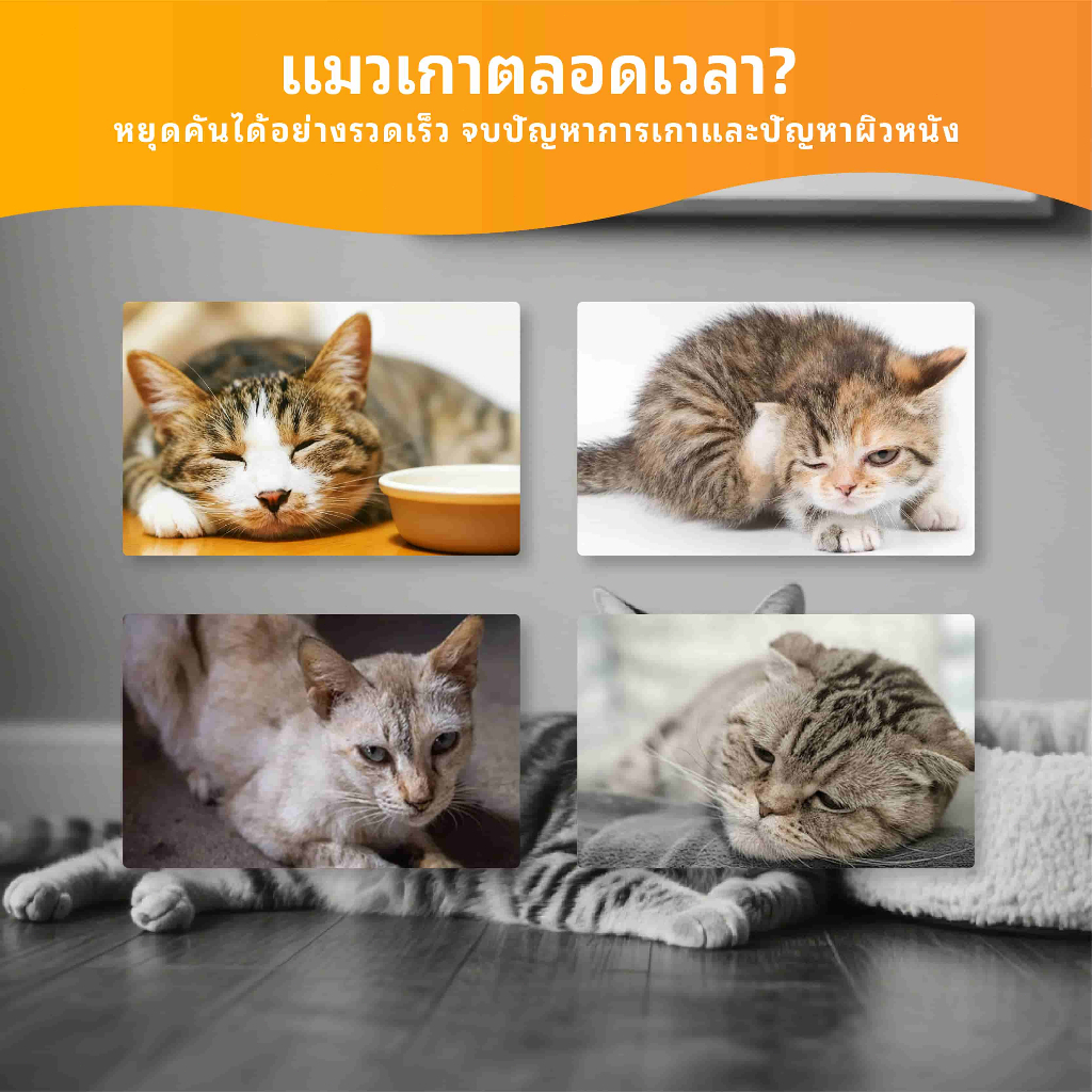 ผลิตภัณฑ์ป้องกันเห็บหมัดแมว Nutridog ชนิดเม็ดเคี้ยว รสปลาแซลมอน เหมาะสำหรับแมวทุกวัย 100 เม็ด - รูปที่ 2