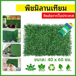 【คูปองพิเศษ】หญ้าเทียม 40x60cm. หญ้าตีนเป็ด หญ้ามิลาน ใบเฟิรน์ ยูคา กำแพงสวนรั้วต้นไม้ปลอม หญ้าติดผนัง ร้านกาแฟ รั้วกำแพง