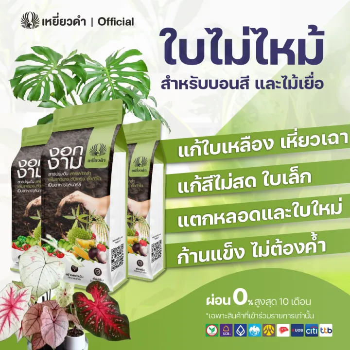 งอกงาม บอนสี (ใบไม่ไหม้) มอนสเตอร่า ไม้ด่าง ให้แตกใบ แตกหน่อ สารปรับปรุงดิน ระเบิดราก แก้ดินแน่น ฟื้นต้นโทรม แก้ใบเหลือง