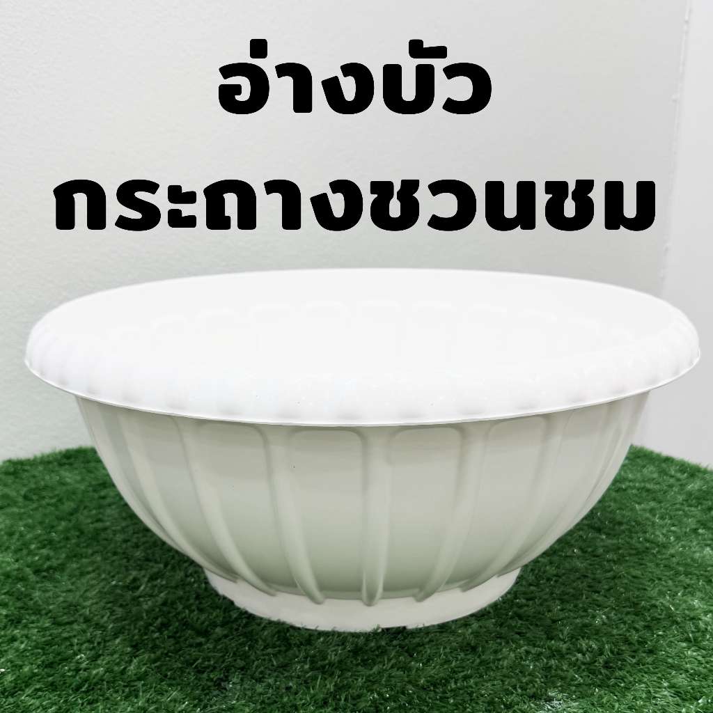อ่างบัว อ่างเลี้ยงปลา กระถางชวนชม ขนาด 18.5 นิ้ว สำหรับแต่งสวน กันกระถางเจาะรูได้