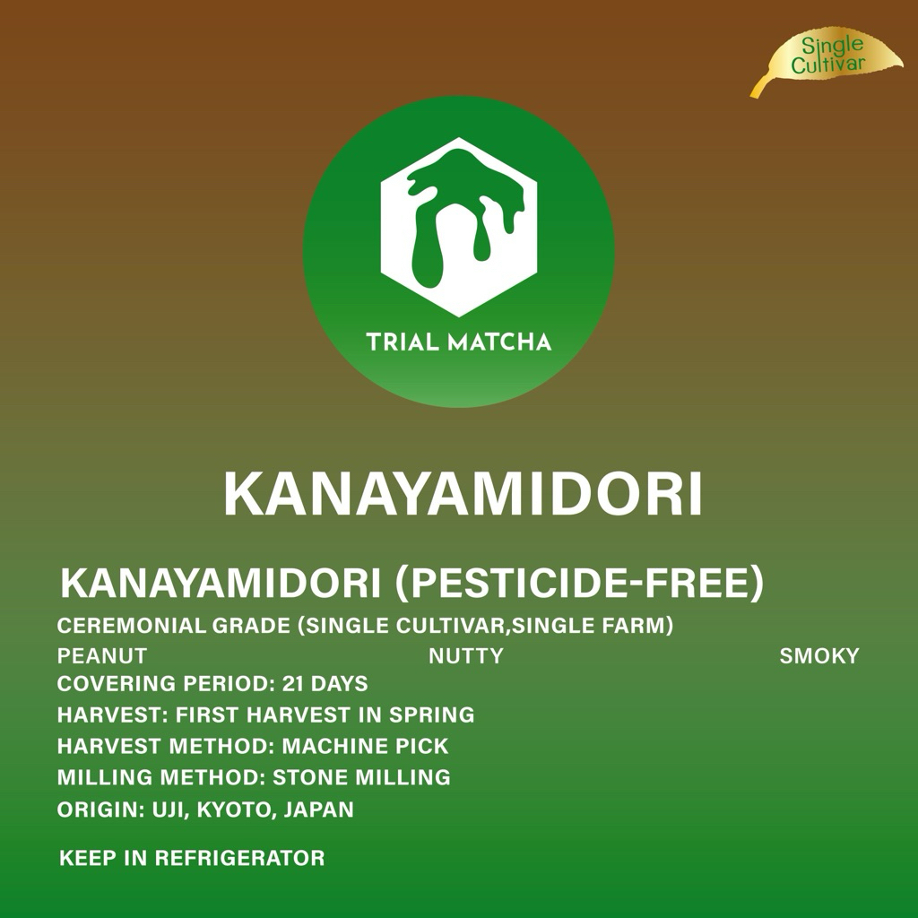 TRIAL MATCHA | ผงมัทฉะอุจิสายพันธุ์เดี่ยว Kanayamidori Single cultivar(Pesticide-Free)
