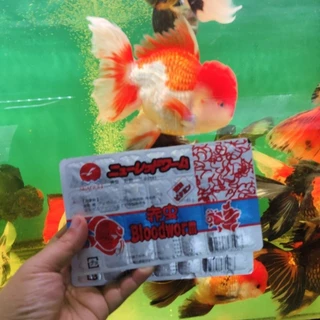 หนอนแดงแช่แข็ง BLOODWORM SEAGULL 100 กรัม เงินแดง 1แพ็คมี 28 หลุมExpress Delivery (SHP Food) เท่านั้น