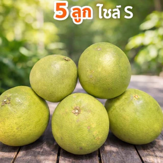 5ลูก ส้มโอ ขนาด S 5ลูก น้ำหนักไม่ต่ำกว่า2.5กิโลกรัม