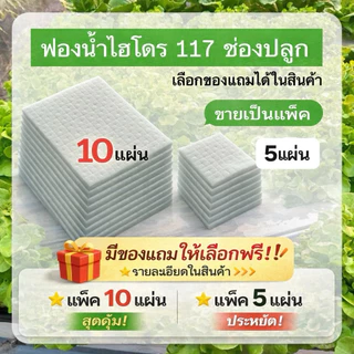 ฟองน้ำปลูกผักไฮโดรโปนิกส์​ 117ช่อง(จากเดิม96ช่อง)ฟองน้ำเนื้อละเอียด แพ็ค 5,10 แผ่น