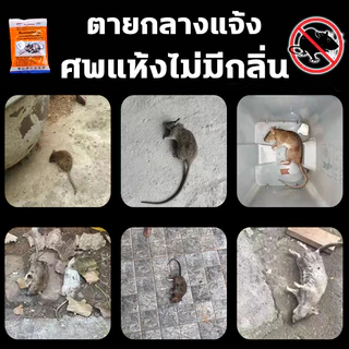 ซากแห้งไม่มีกลิ่นเหม็น ยาฆ่าหนู ซื้อ 1 ได้ 2 ยากำจัดหนู เหยื่อกำจัดหนู ยาเบื้อหนู สารกำจัดหนู ยาเบื่อหนูแห้ง ยาเบื่อหนุ