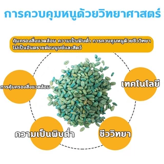 ซากแห้งไม่มีกลิ่นเหม็น ยาฆ่าหนู ซื้อ 1 ได้ 2 ยากำจัดหนู เหยื่อกำจัดหนู ยาเบื้อหนู สารกำจัดหนู ยาเบื่อหนูแห้ง ยาเบื่อหนุ