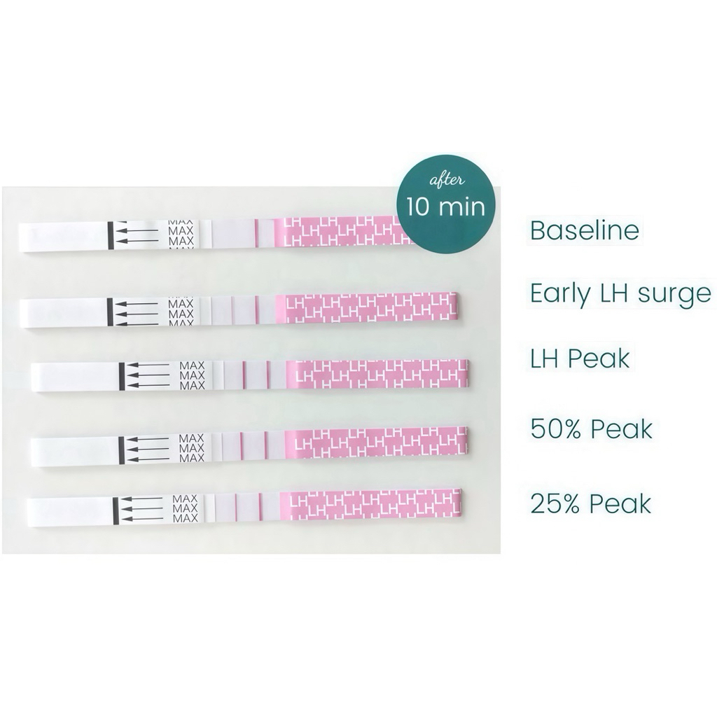 ชุดตรวจไข่ตก ที่ตรวจไข่ตก แถมถ้วยฟรี🆓LH Ovulation เทสไข่ตก ตัวช่วย มีบุตรยาก เพิ่มอัตราการตั้งครรภ์ อยากท้อง คำนวณหาวัน - รูปที่ 5