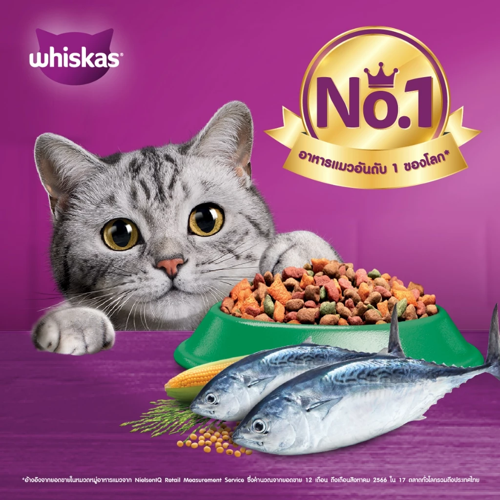 WHISKAS วิสกัส อาหารเม็ดแมวสำหรับแมวโต 3 กก. thumbnail 3