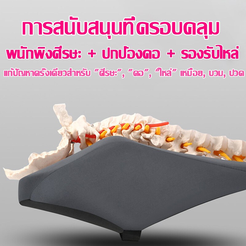 รูปภาพ 8