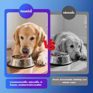 Nutridog Liver Support อาหารเสริมบำรุงตับสุนัข รสไก่ 120 เม็ด บำรุงตับได้ดี