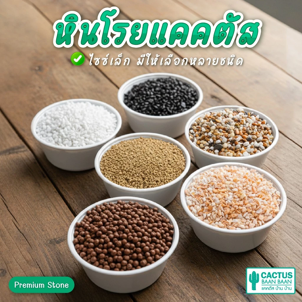 หินโรยกระถาง หินโรยหน้า แคคตัส หินเกร็ด กรวดแม่น้ำ หินแคคตัส หินกระบองเพชร (พร้อมส่ง)