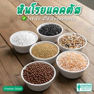 หินโรยกระถาง หินโรยหน้า แคคตัส หินเกร็ด กรวดแม่น้ำ หินแคคตัส หินกระบองเพชร (พร้อมส่ง)