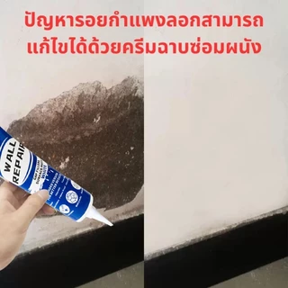 ครีมซ่อมแซมผนัง 250 มล กันน้ำ กันความชื้น กันเชื้อรา เครื่องมือสำหรับซ่อมรูและรอยแตก ทนทาน จัดส่งทันที