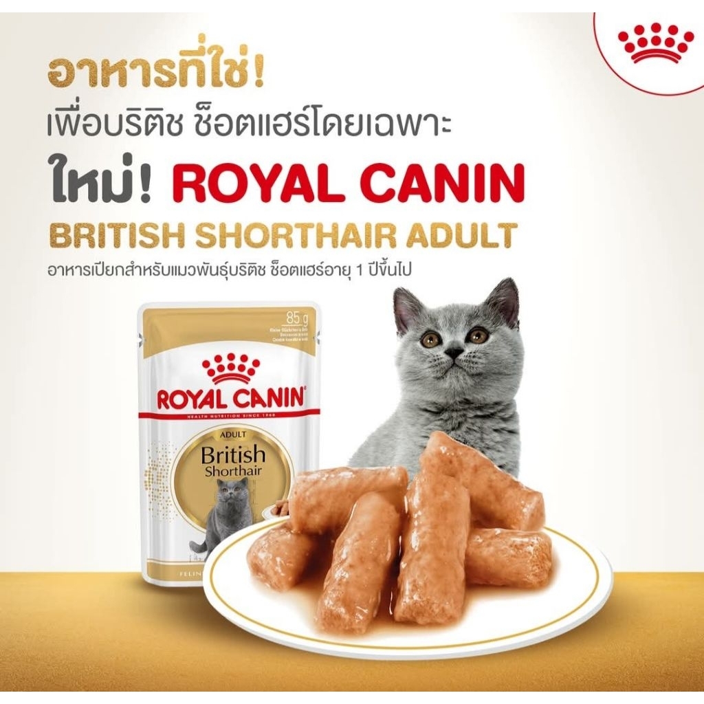อาหารเปียกสำหรับแมวโต พันธุ์บริติช ชอร์ตแฮร์ อายุ 12 เดือนขึ้นไปBRITISH SH GRAVY 12*85G