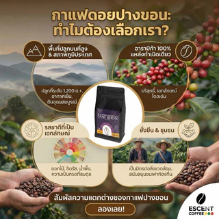 เมล็ดกาแฟอาราบิก้าแท้จากดอยปางขอน จังหวัดเชียงราย คัดสรรคุณภาพเยี่ยม