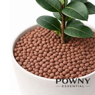 เม็ดดินเผา popper ดินเผา มวลเบา 1 ลิตร ป๊อปเปอร์ popper S M …