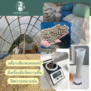กาแฟคั่ว ดอยผาฮี้ 250g. อราบิก้า100% - กาแฟคั่วลูกชาวสวน