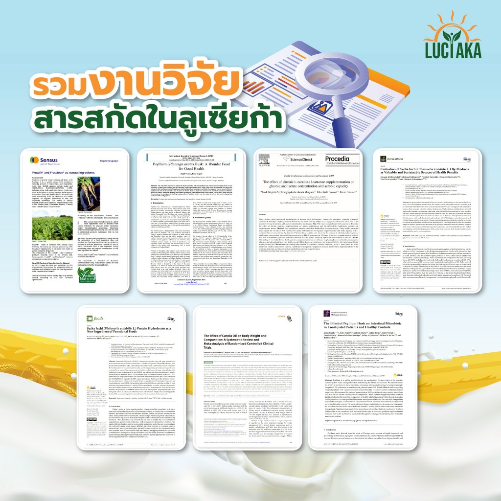 [3 กระปุก] LUCIAKA Egg Albumin อัลบูมิน โปรตีนไข่ขาว มีธาตุเหล็ก ซิงค์ วิตามินบี ดูแลสมดุลของเหลว ดูแลระบบภูมิคุ้มกัน - รูปที่ 3