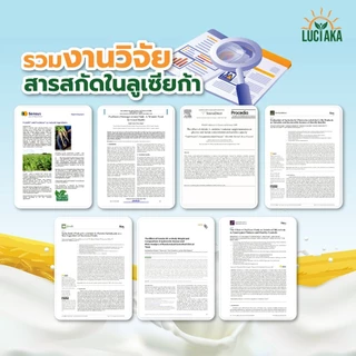 [2 กระปุก] LUCIAKA Egg Albumin อัลบูมิน โปรตีนไข่ขาว มีธาตุเหล็ก ซิงค์ วิตามินบี ดูแลสมดุลของเหลว ดูแลระบบภูมิคุ้มกัน