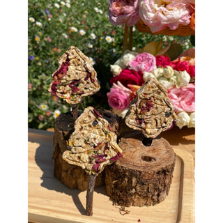 Christmas Stick สำหรับ แฮมสเตอร์ทุกสายพันธุ์