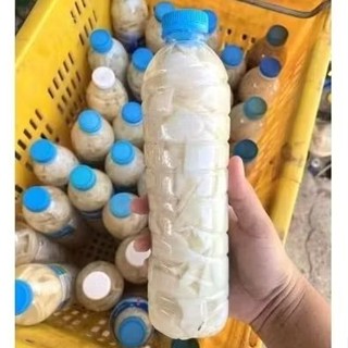 หน่อไม้ดอง# ธรรมชาติ# ไร้สารกันบูด# สดสะอาด# ปีต่อปี กรอบๆ อ…