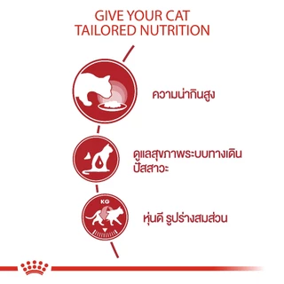 Royal Canin Instinctive Pouch 85g [มี 3 สูตร] Gravy Jelly Loaf อาหารเปียก แมวโต ขนาด 85 กรัม