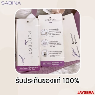 *สาวคัพใหญ่* SABINA <clerance sale> (ไม่มีโครง ฟองบาง) Perfect Bra รหัส SBD7000 PBN