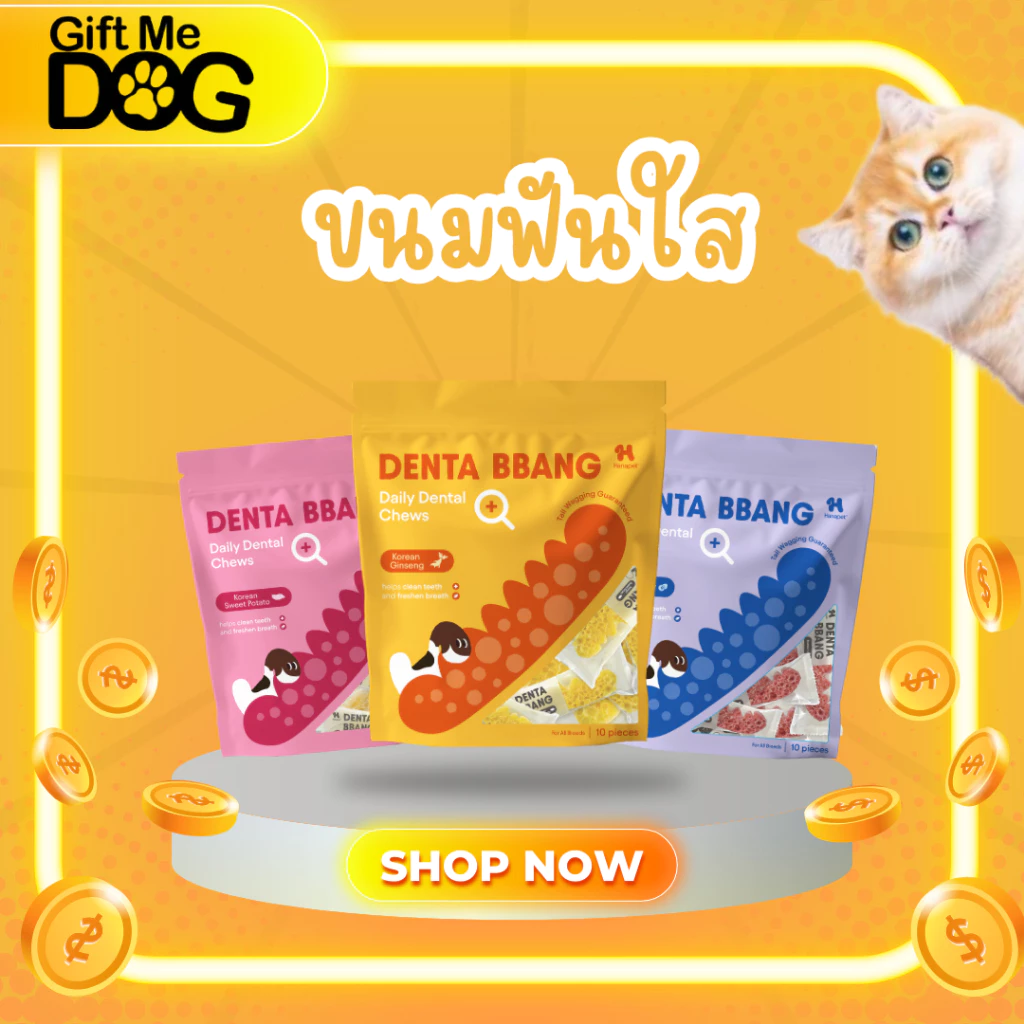 Hana Pet Denta Bbang ฮะนะเพ็ท ขนมขัดฟันสุนัข ขนาด120g 1แพ็ค10ชิ้น