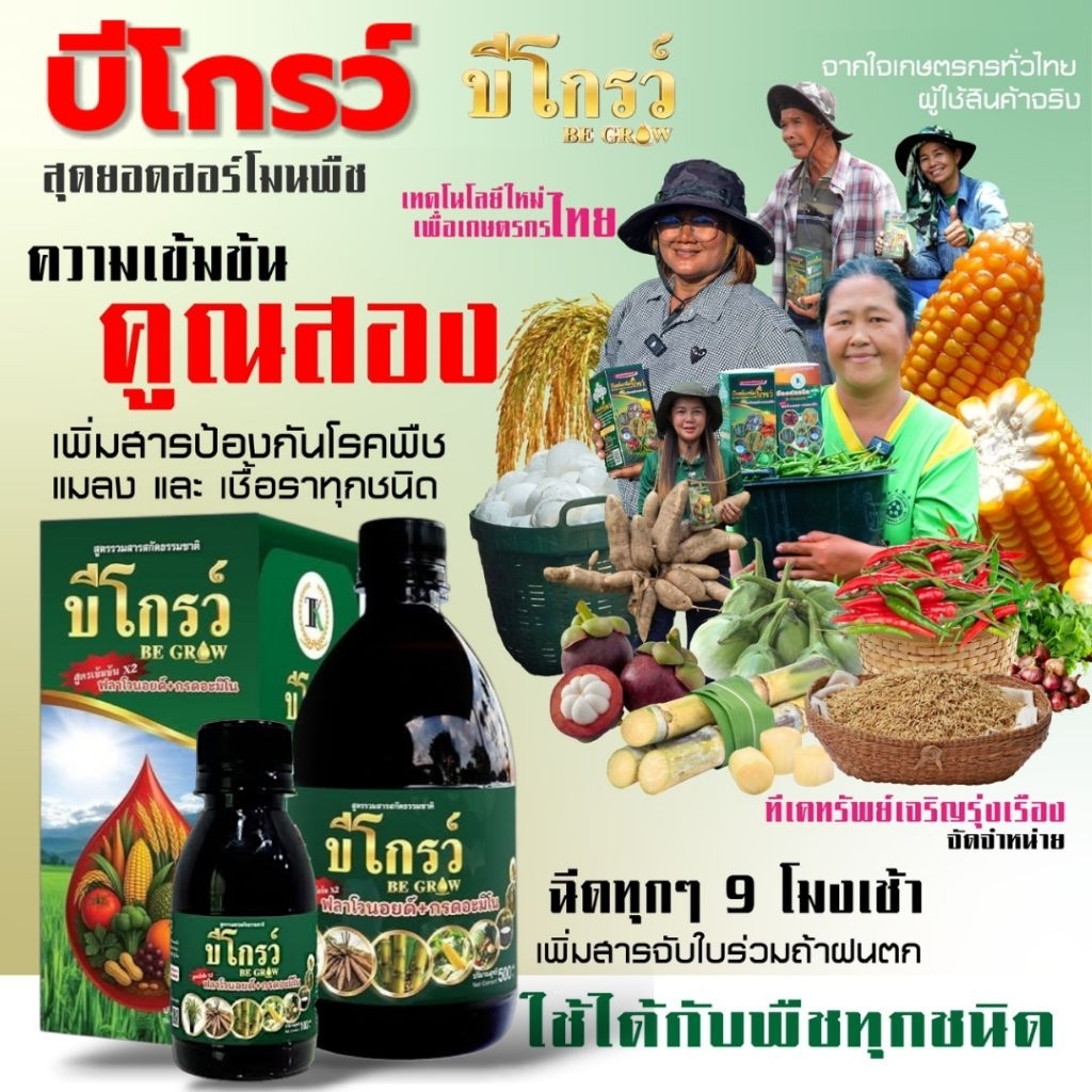 บีโกรว์ ฮอร์โมนพืช เร่งโต ใบเขียว ป้องกันโรคและแมลง ของแท้ ส่งฟรี [2 แถม 3] - รูปที่ 2