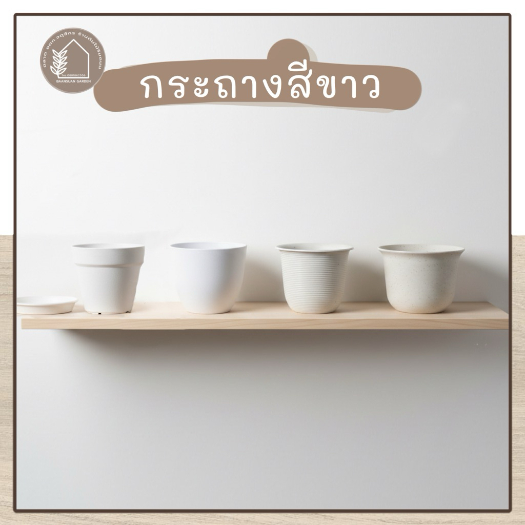กระถางต้นไม้ พลาสติกสีขาวพร้อมจานรองขนาด 3,4,6 นิ้ว