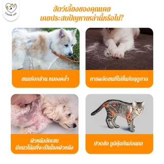 Cassiel Pet น้ำมันปลาแซลมอนซึ่งมีวิตามินโอเมก้า 3 เหมาะสำหรับการดูแลผิว ขน และระบบภูมิคุ้มกันในสุนัขและแมว