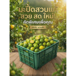 มะปี้ดเรียกอีกอย่างว่าส้มจี้ด (ร้านเปิดใหม่)