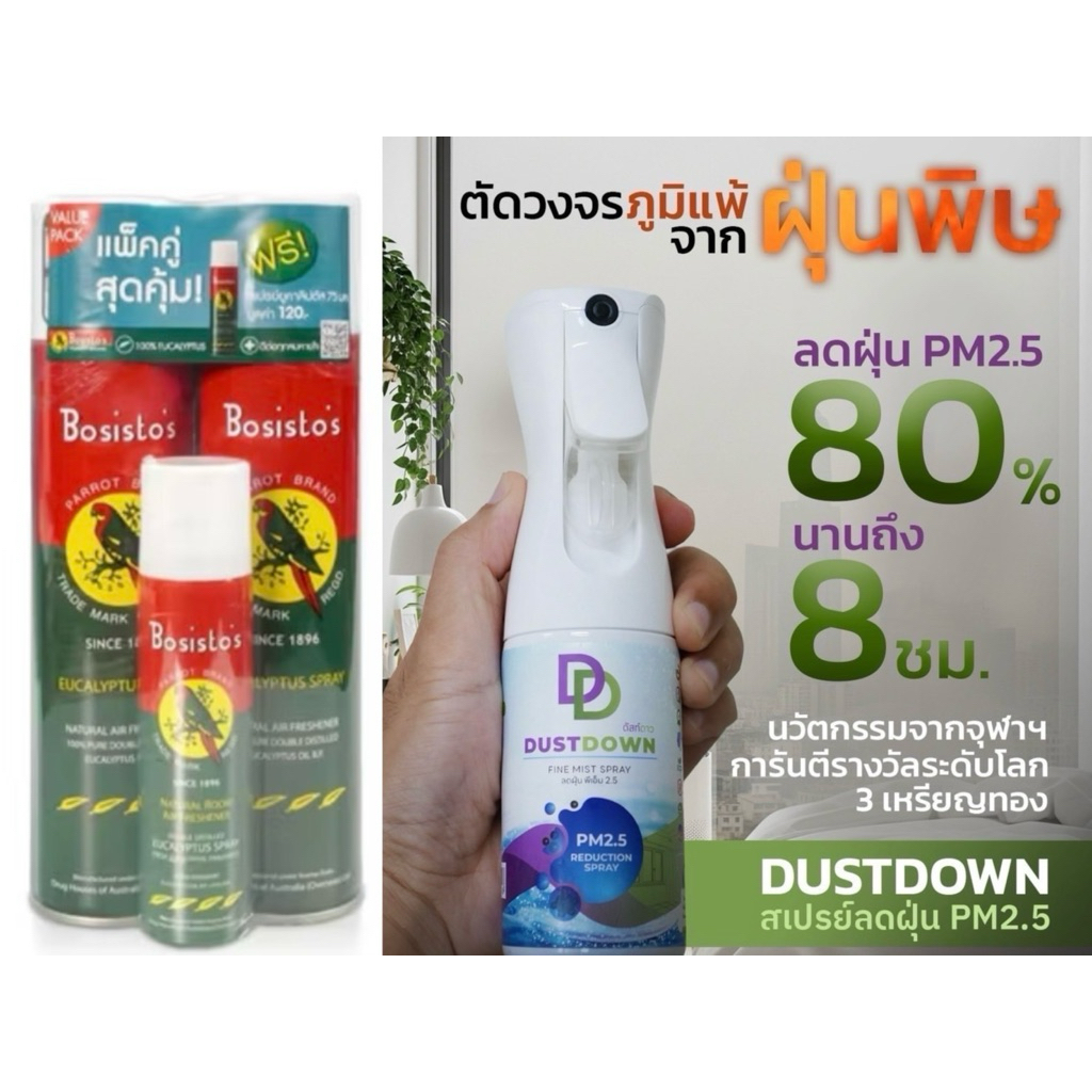 BOSISTOS EUCALYPTUS SPRAY 300 ml แพค 2ขวด แถม75ml/Dustdown sprayกำจัดฝุ่น160ml