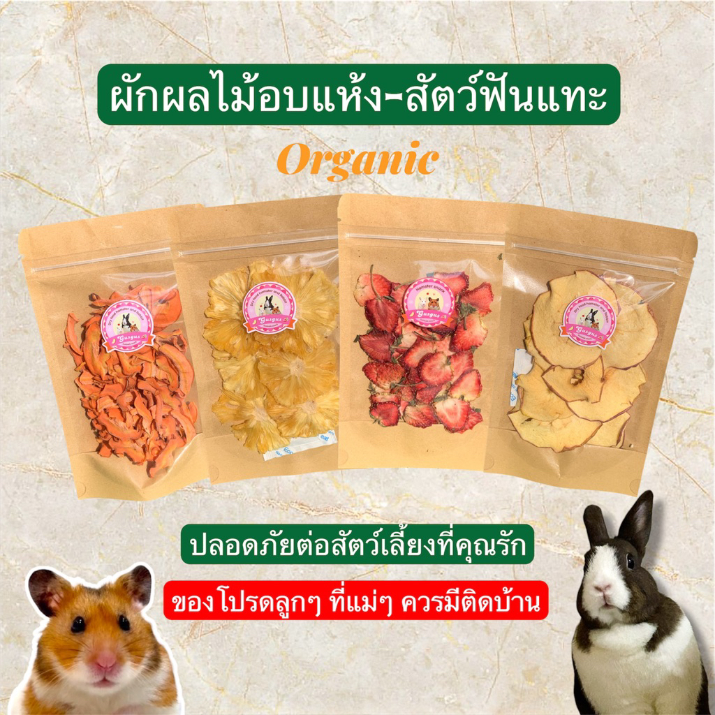 ผลไม้อบแห้งสำหรับสัตว์ฟันแทะ เหมาะกับกระต่ายและแฮมสเตอร์ สัตว์ฟันแทะทุกชนิด Organic,สัตว์ตัวเล็ก น่ารักถูกใจ