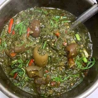 เมล็ดพันธุ์ขี้เหล็กขาว 500 เมล็ด 69 บาทซื้อ 2 แถม 1