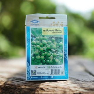 เมล็ดพันธุ์ มะเขือพวง ไร้หนาม ตรา เจียไต๋