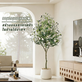 ต้นไม้ปลอมคุณภาพดี ทนใช้ไม่ซีด💖ต้นมะกอกปลอม 90/120/150/180CM…