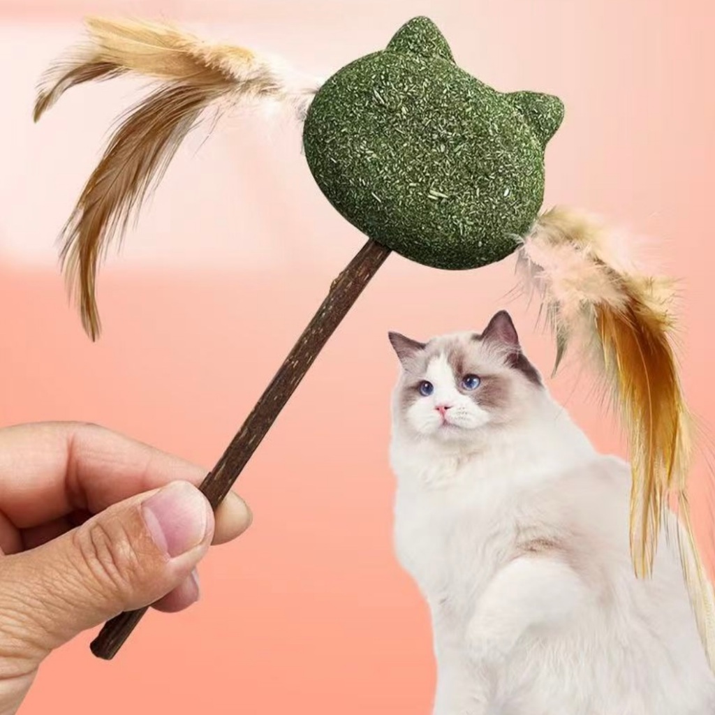 AL-1537 ไม้แท่งแมว catnip ขนนก กัญชาแมว คลายเครียด ทําความสะอาดฟัน หลายแบบ แมวชอบ พร้อมส่ง