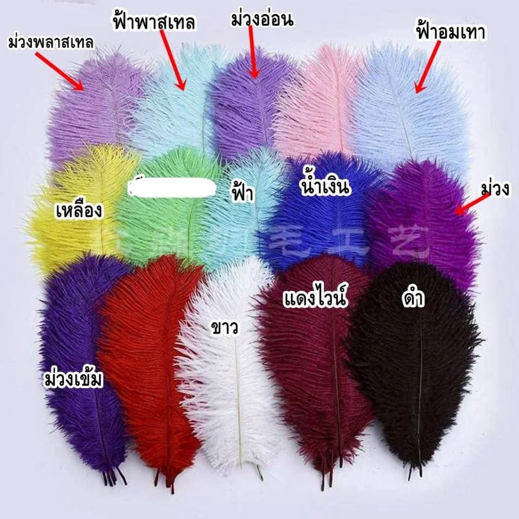 ขนนกกระจอกเทศ ยาว 20-24cm เส้นละ 16บาท