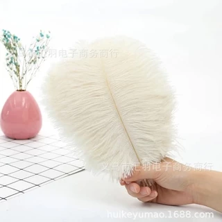 ขนนกกระจอกเทศ ยาว 20-24cm เส้นละ 16บาท