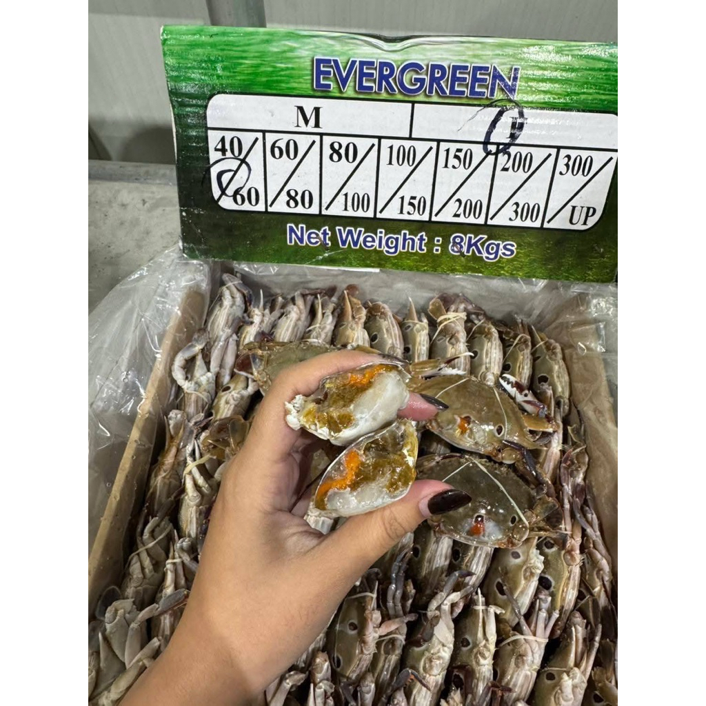 ปูจุดเมียล้วน 40/60 ยกลัง (8kg.)  ตำ ยำ ดอง ได้ ⚡️ส่งด่วน   ค่าส่งเหมา✅คละได้ทั้งร้าน❗️โฟมฟรี   ส่งขนส่งแช่เย็น❄️ ราคา ถูกที่สุด ดีลบีเคเค แกลเลอรีภาพที่ 6