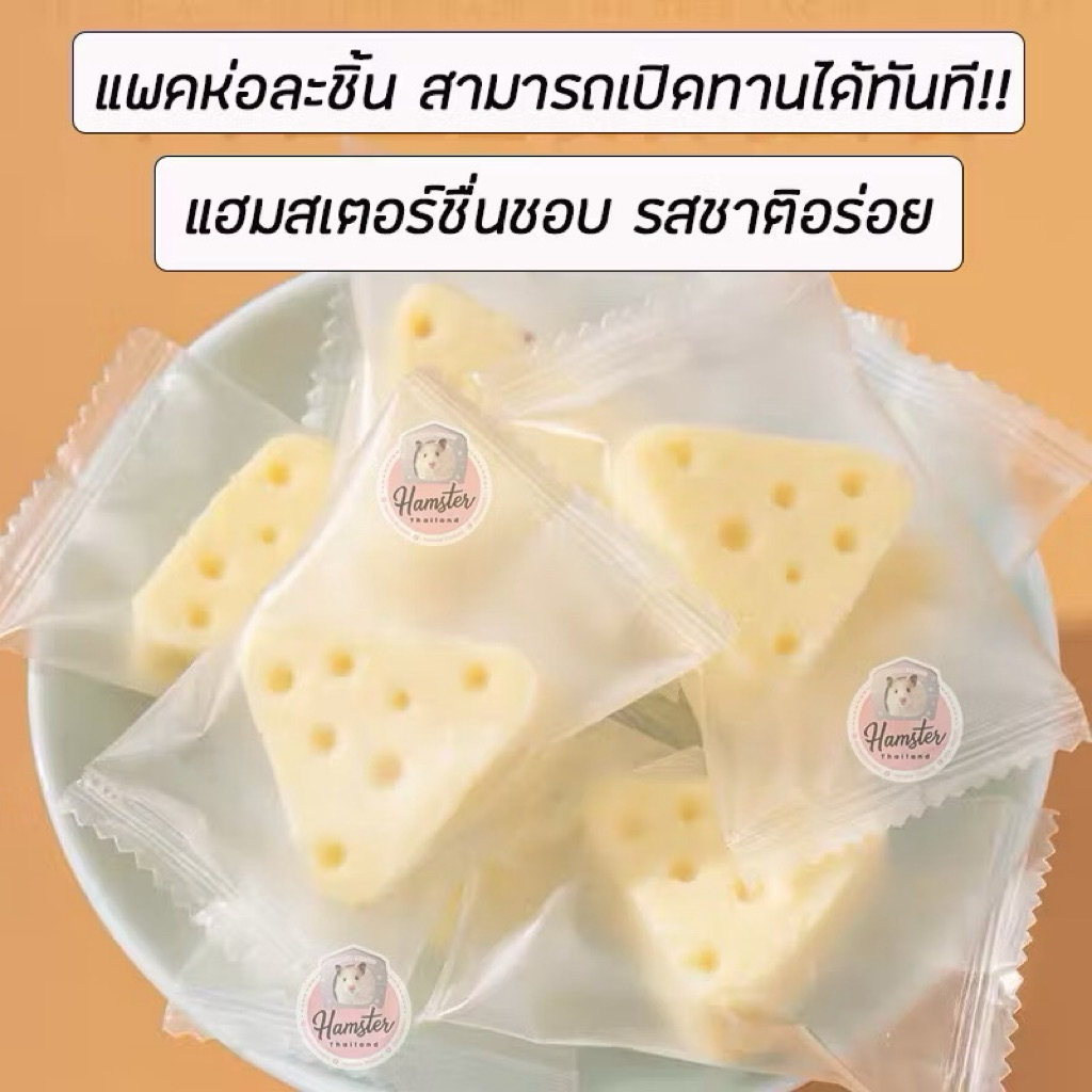 [Hamsterthailand] ชีสสามเหลี่ยม 10 ชิ้น กระตุ้นความอยากอาหาร‼️ชีสผสมนมแพะ ขนมแฮมสเตอร์ สัตว์เลี้ยง
